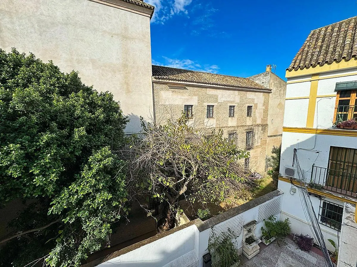 Appartamento La Casita Del Mercado De Feria Siviglia Spagna